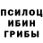 Галлюциногенные грибы Psilocybine cubensis illumitarium