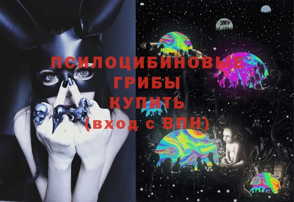 тгк Вяземский