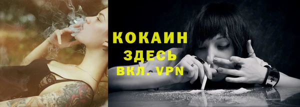 тгк Вяземский