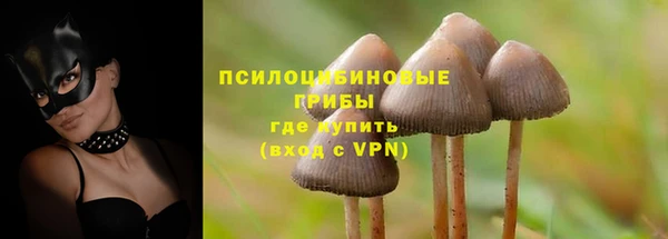 тгк Вяземский