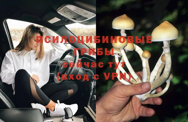 тгк Вяземский