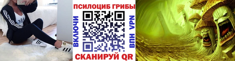 Галлюциногенные грибы мицелий Купить Балабаново